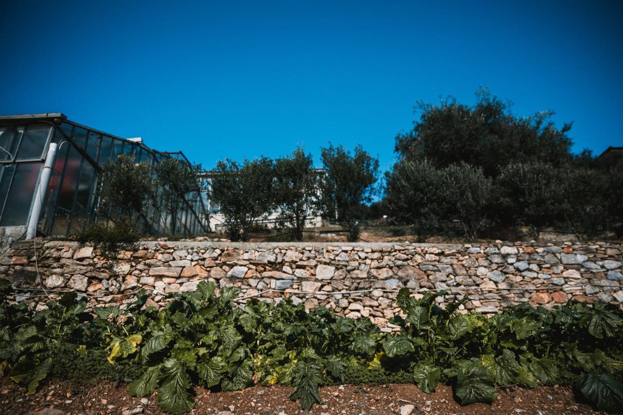 Agriturismo Rose Di Pietra Pietra Ligure Ngoại thất bức ảnh