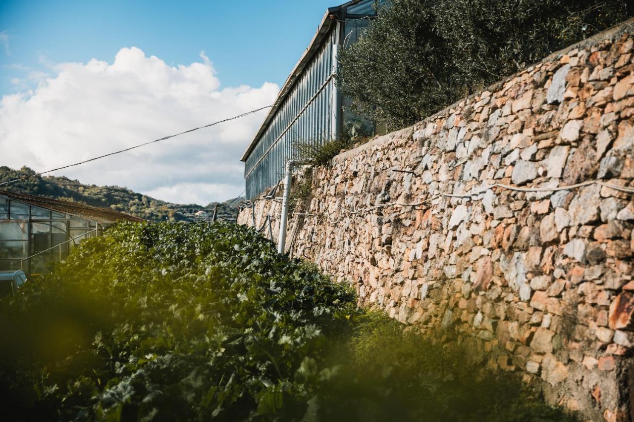 Agriturismo Rose Di Pietra Pietra Ligure Ngoại thất bức ảnh