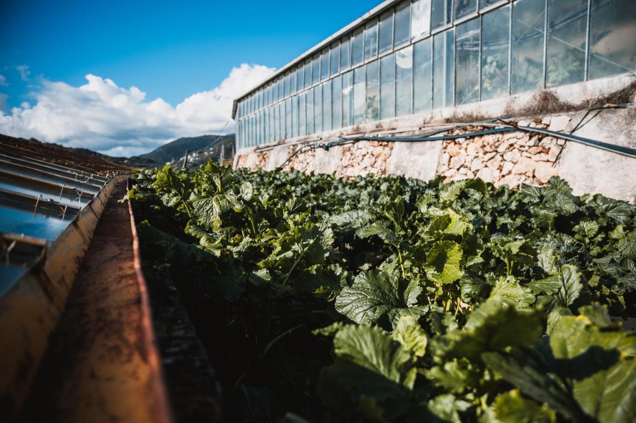 Agriturismo Rose Di Pietra Pietra Ligure Ngoại thất bức ảnh
